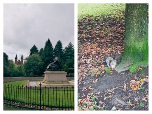 Glasgow scoiattolo