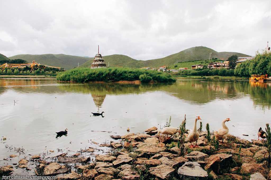 Shangrila-monastero-songzanlin