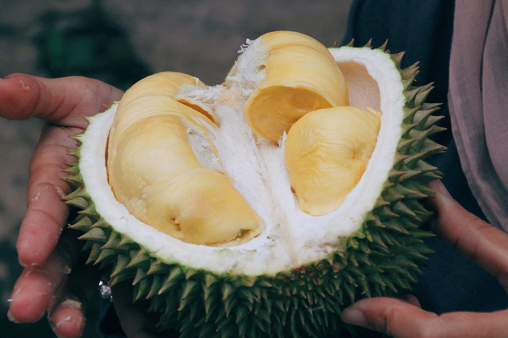 durian cibi strani cina