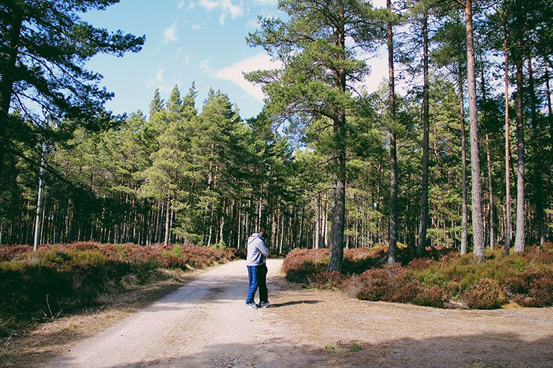Cairngorms-national-park-foresta-scozia