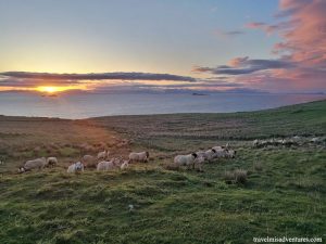 cosa-vedere-a-skye-scozia-tramonto-pecore