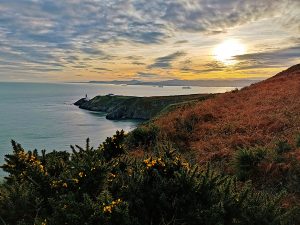 Visitare Howth da Dublino